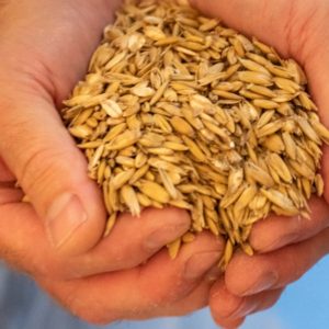 Payment of event deposit